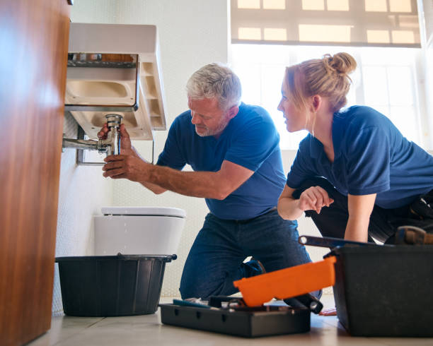 Best Clogged Drain Plumber  in Houston, MO